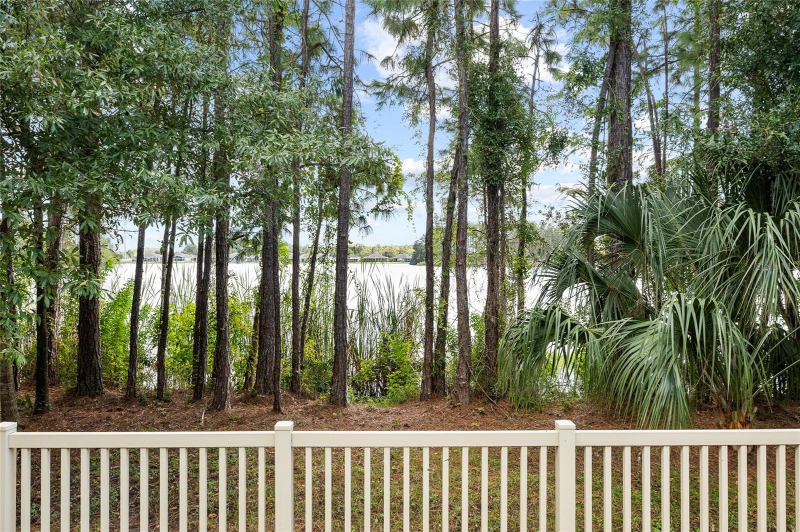 Townhouse at 11424 CROWNED SPARROW LN, TAMPA, photo 42 of 53