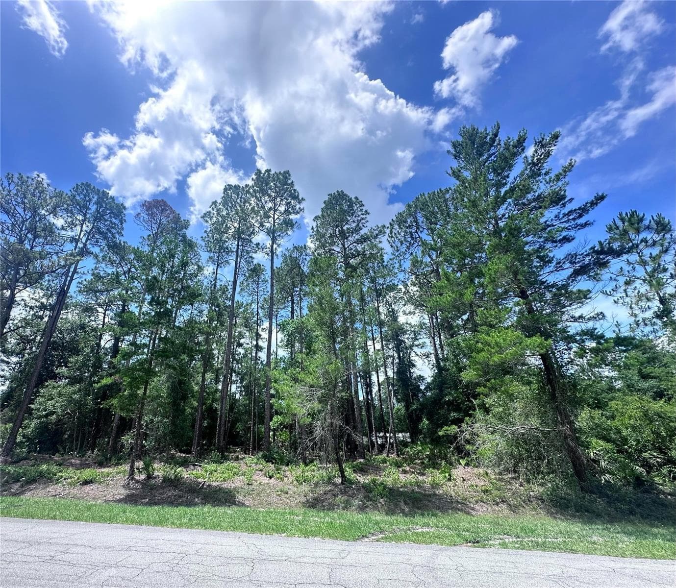 Land at 107 S GEORGETOWN POINT RD, GEORGETOWN, photo 4 of 23