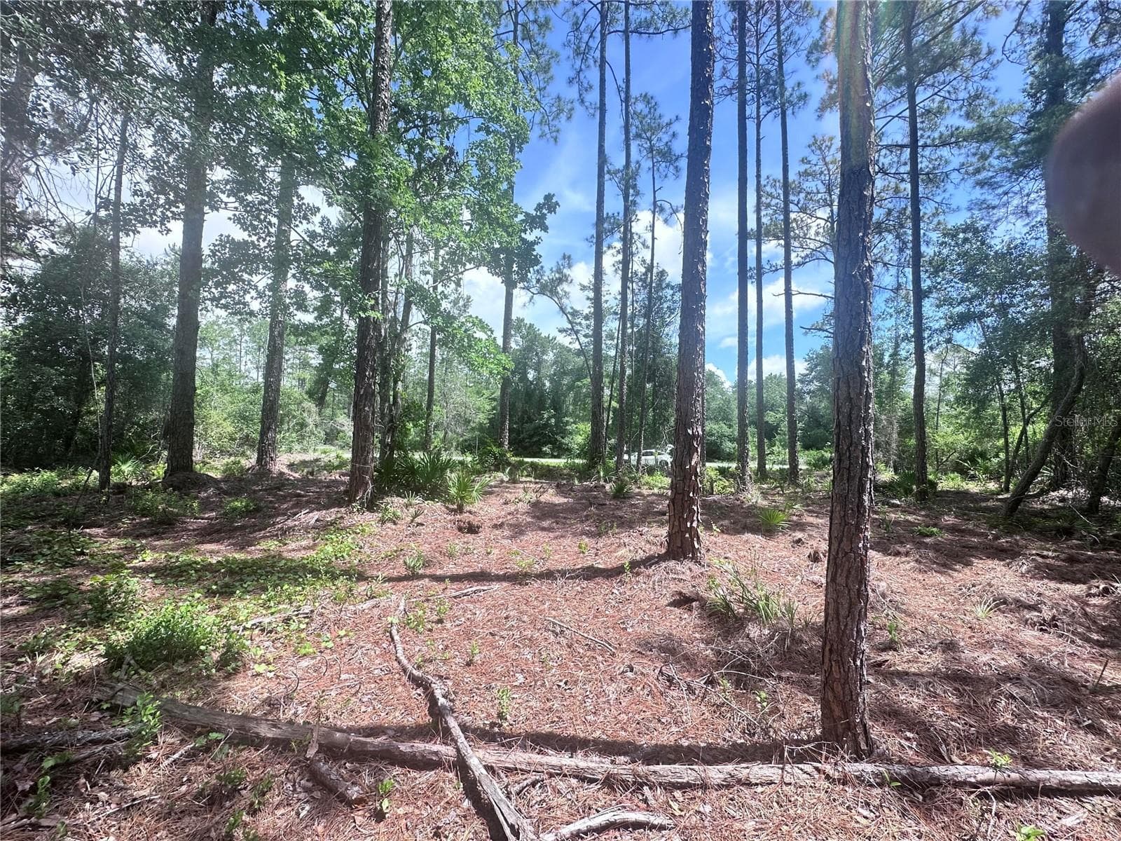 Land at 107 S GEORGETOWN POINT RD, GEORGETOWN, photo 8 of 23