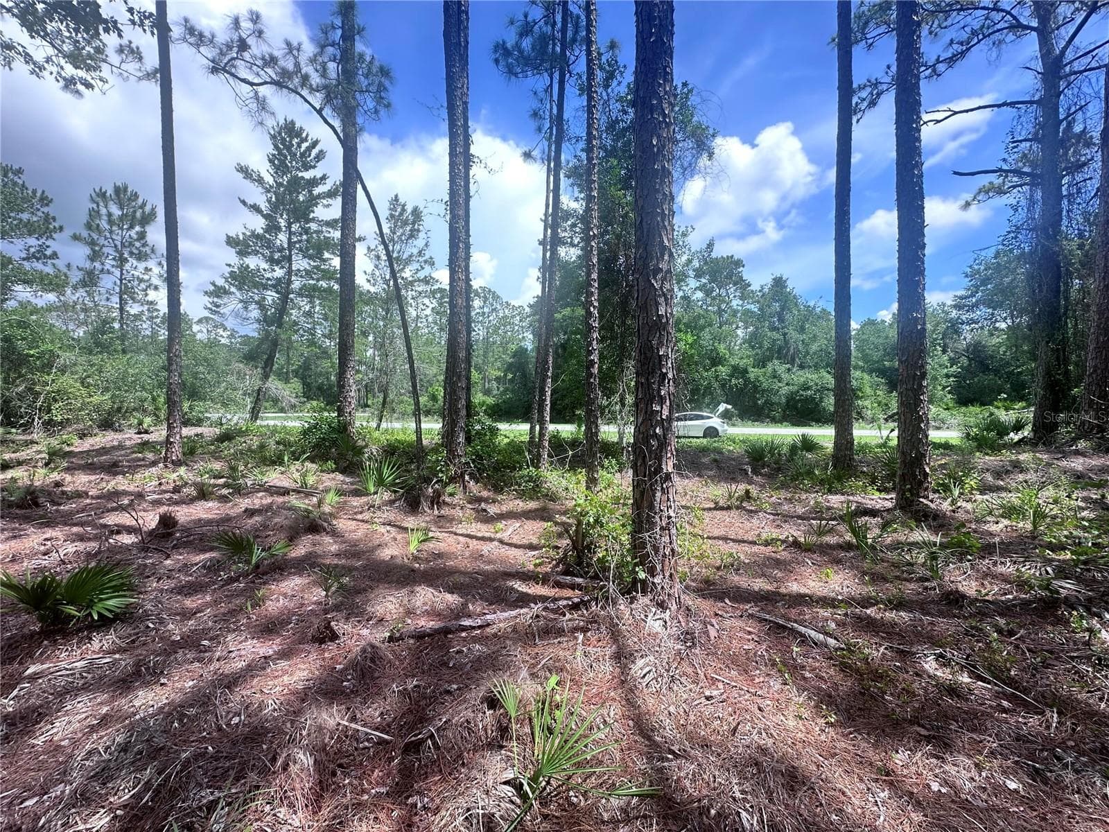 Land at 107 S GEORGETOWN POINT RD, GEORGETOWN, photo 10 of 23