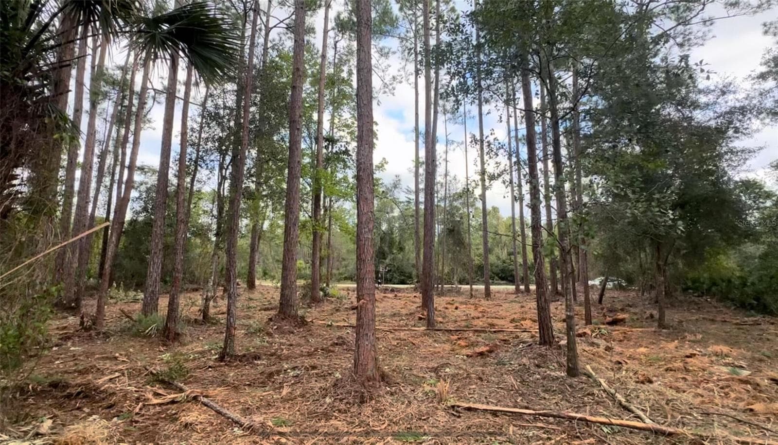 Land at 107 S GEORGETOWN POINT RD, GEORGETOWN, photo 12 of 23