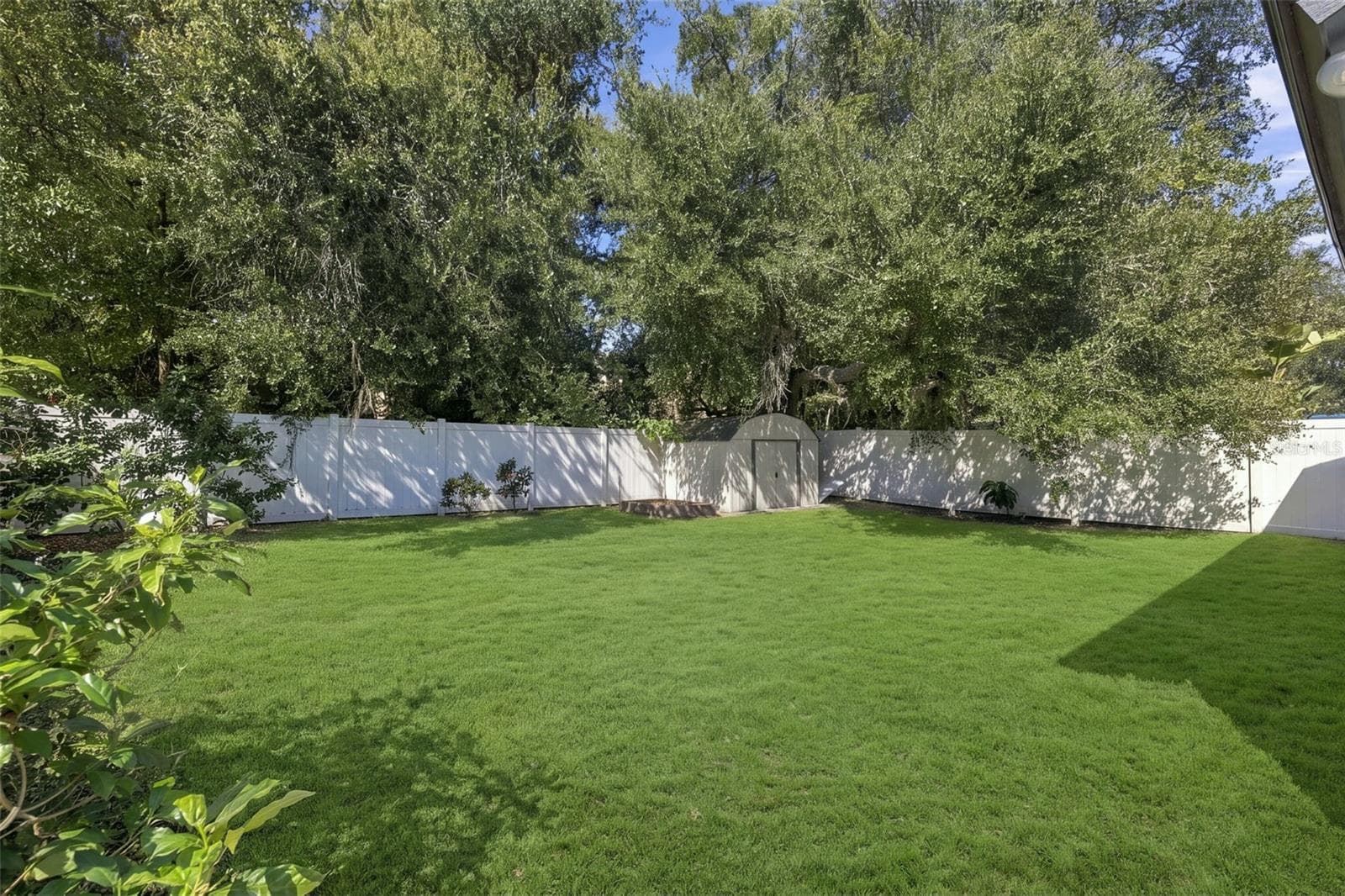 virtually enhanced grass - 12808 DUNHILL DR, TAMPA