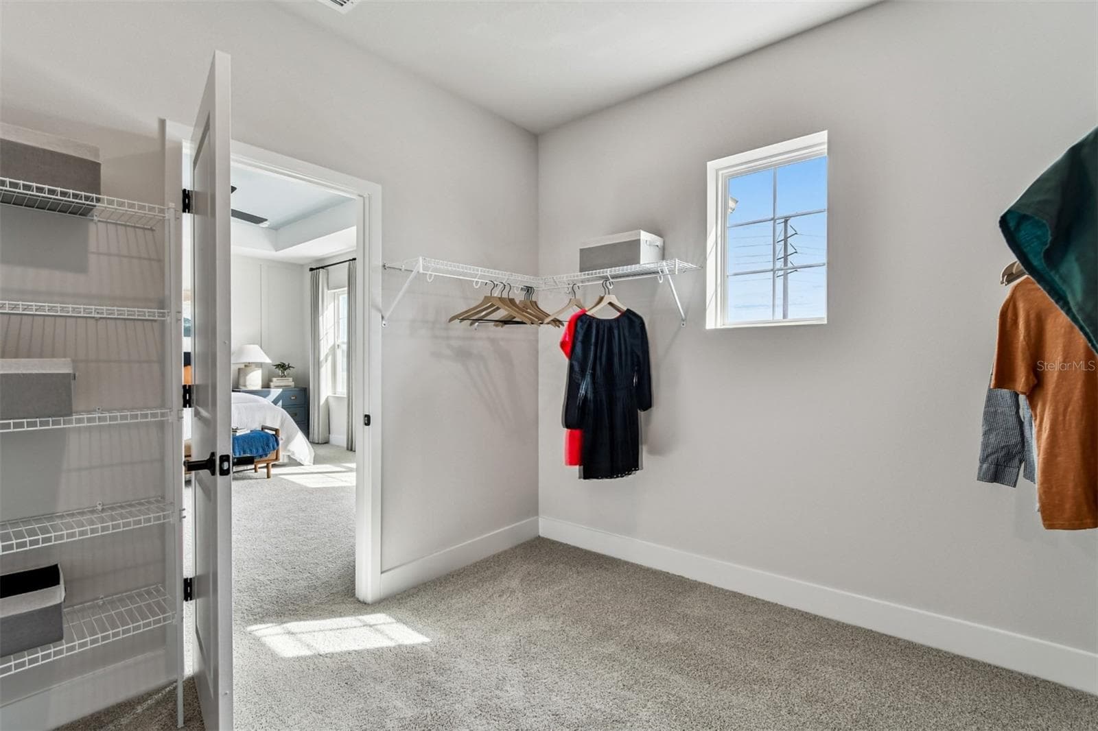 Owner's Closet - 3611 YELLOW CASSIA DR, WESLEY CHAPEL