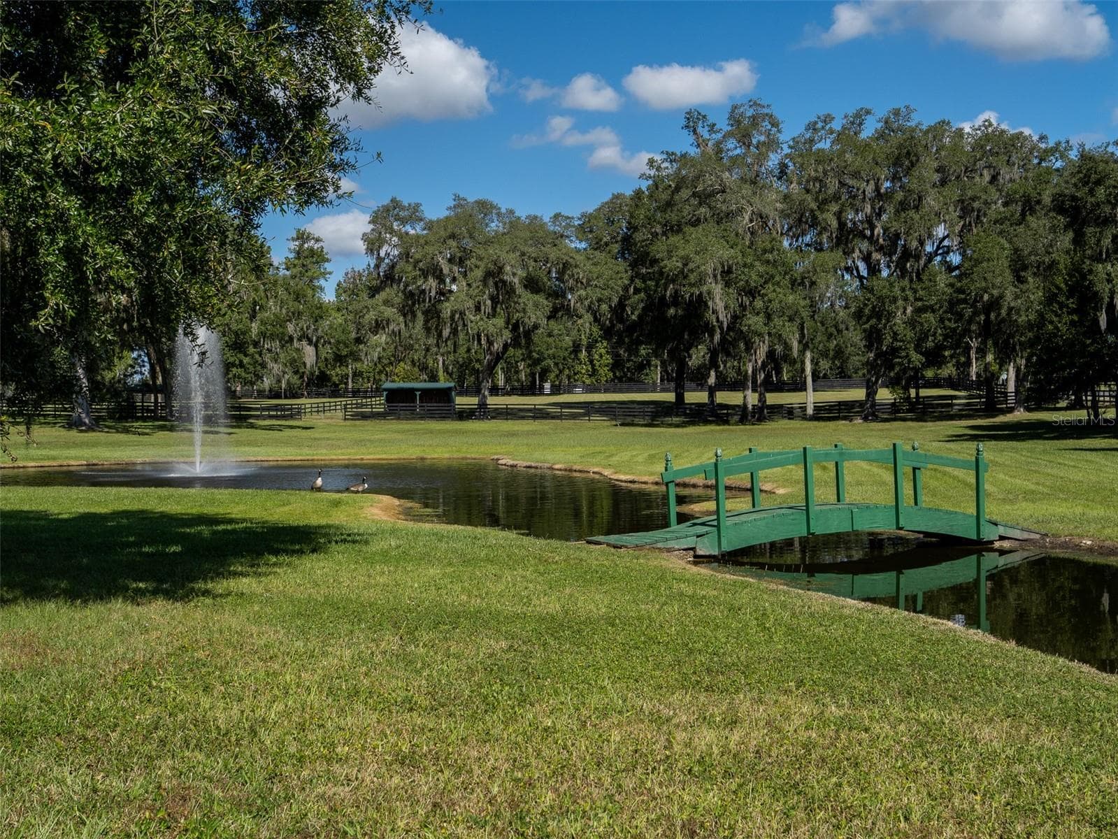 Farm at 8070 W HIGHWAY 326, OCALA, photo 35 of 49