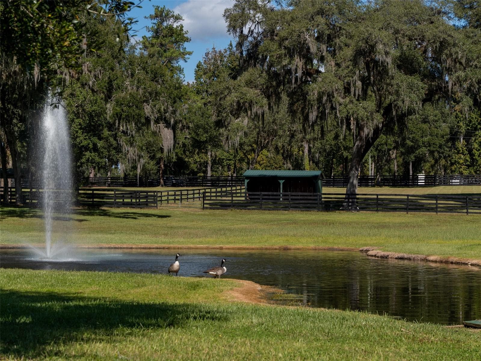 Farm at 8070 W HIGHWAY 326, OCALA, photo 36 of 49