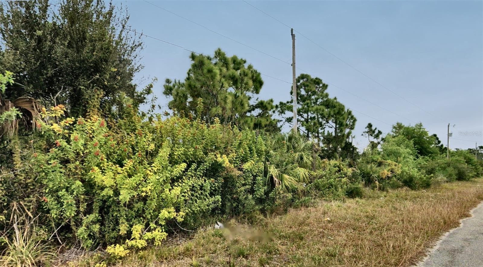 Land at 1217 BELGRAVE ST, FORT MYERS, photo 3 of 4
