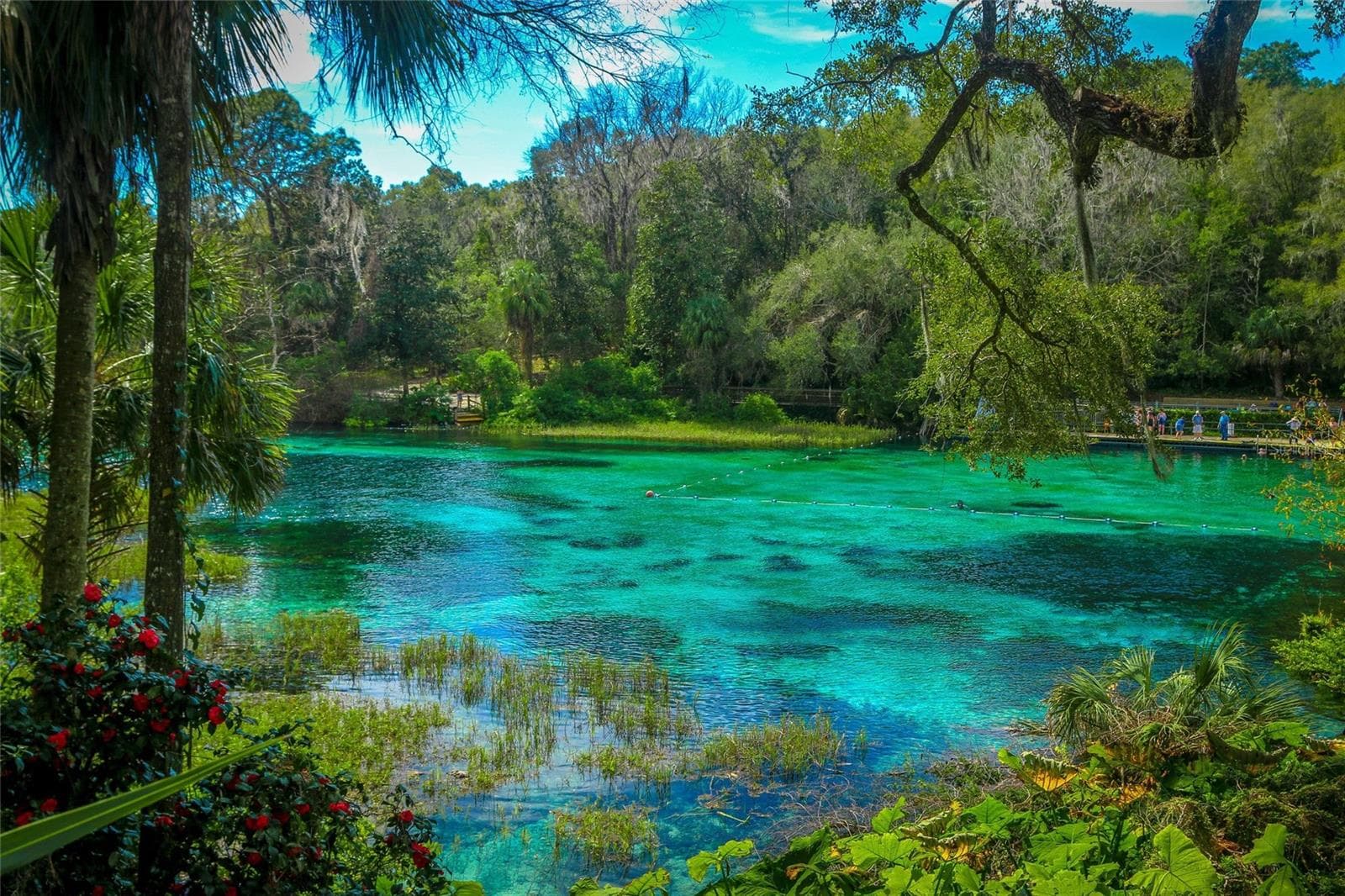 Rainbow state Park - 2204 W RILEY DR, CITRUS SPRINGS