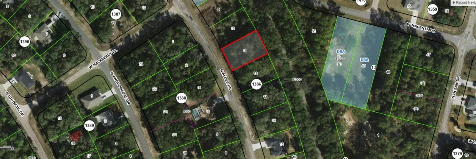 Land at 10735 N ADLER DR, CITRUS SPRINGS, photo 2 of 6