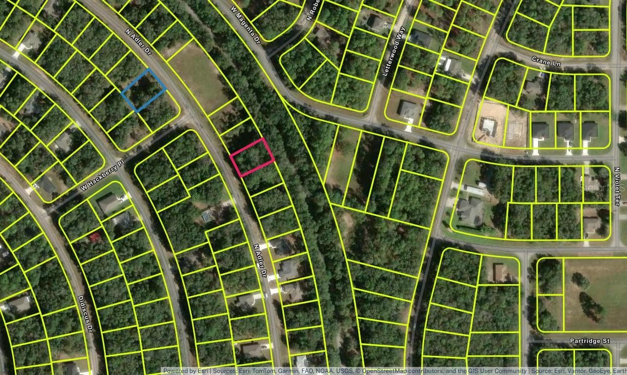 Land at 10735 N ADLER DR, CITRUS SPRINGS, photo 4 of 6