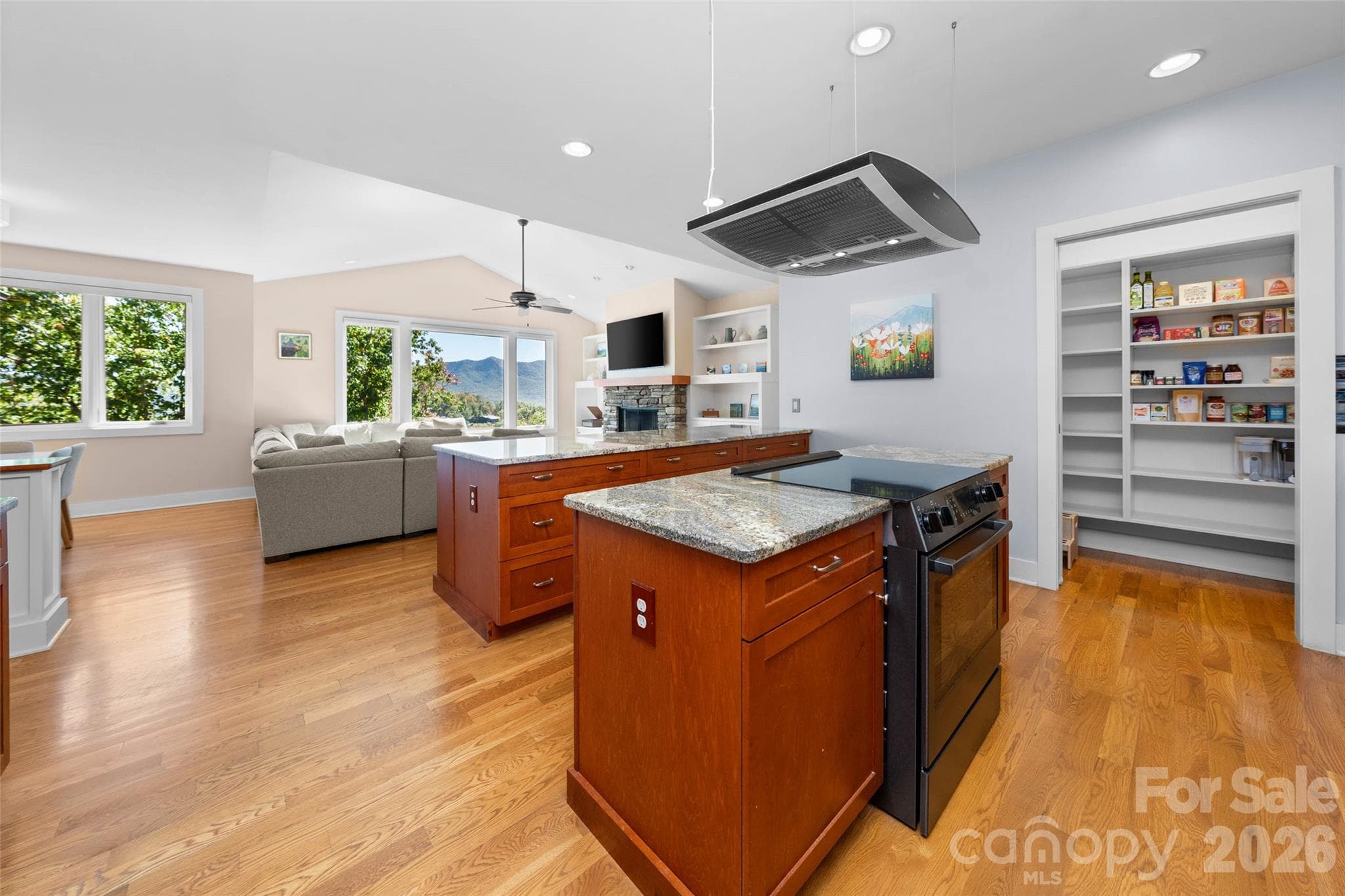 Single Family Residence at 351 Chapel Road, Black Mountain, photo 12 of 45