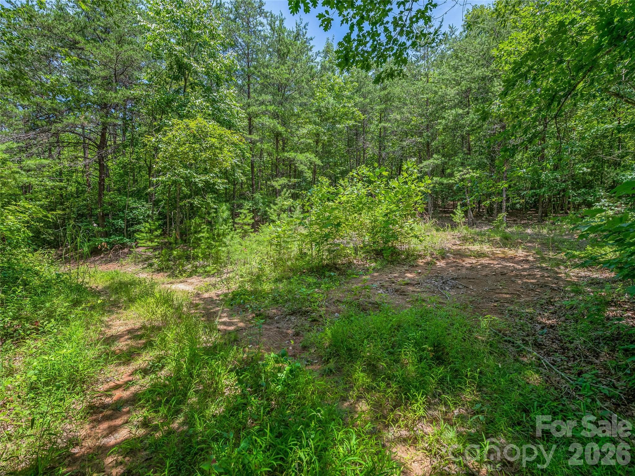 Acreage at TBD Owl Hollow Road, Mill Spring, photo 14 of 25