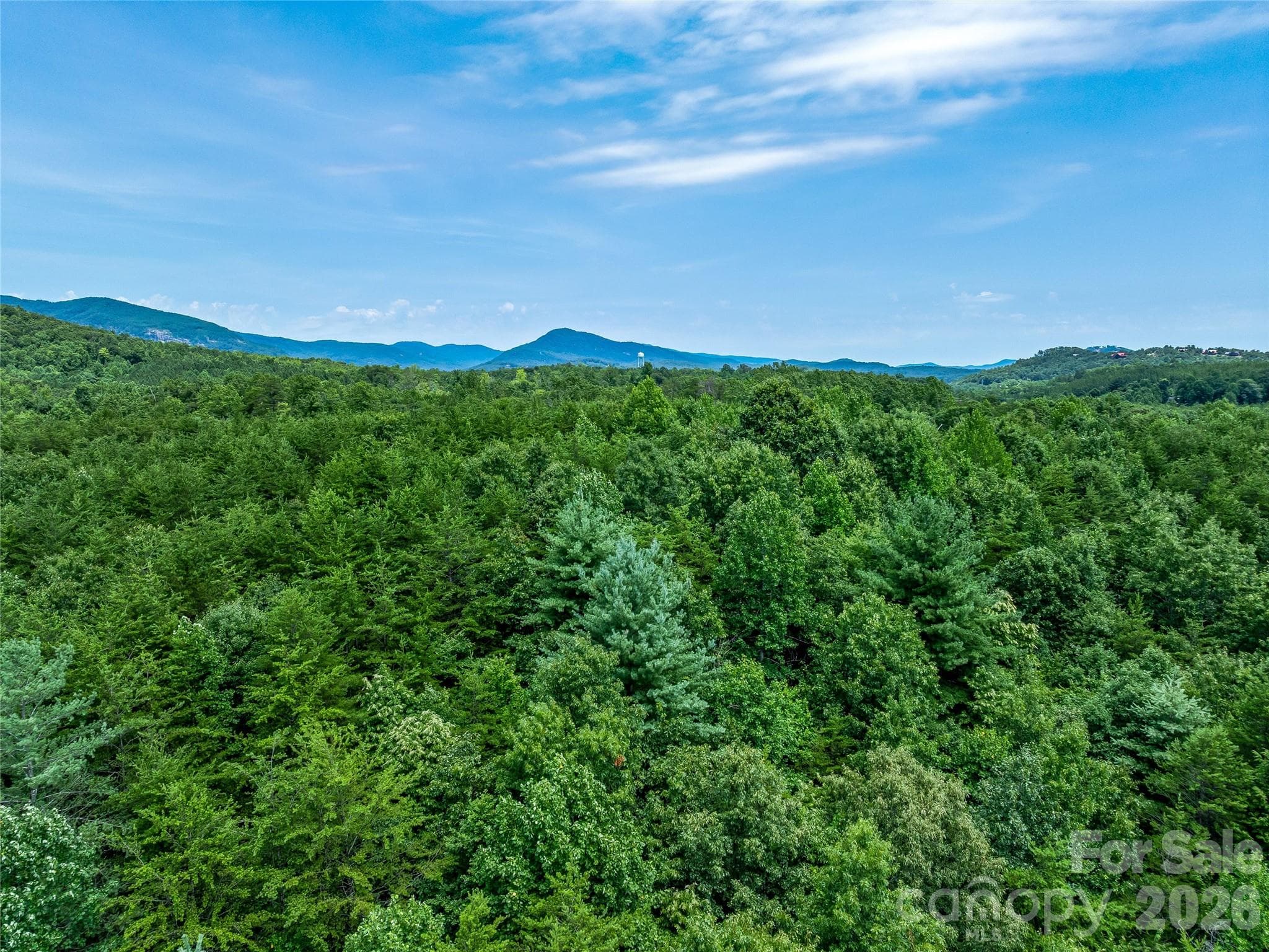 Acreage at TBD Owl Hollow Road, Mill Spring, photo 17 of 25
