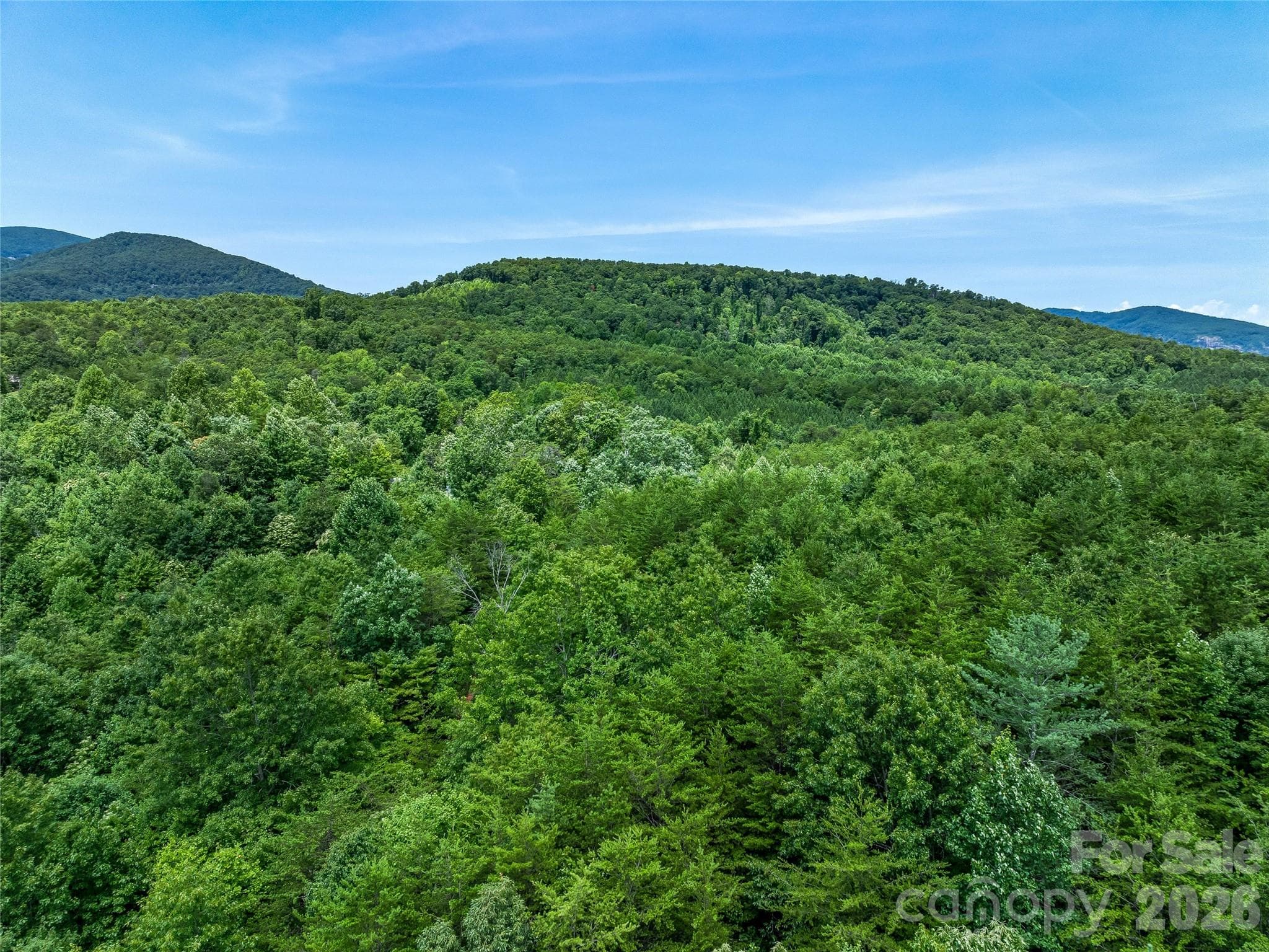 Acreage at TBD Owl Hollow Road, Mill Spring, photo 18 of 25