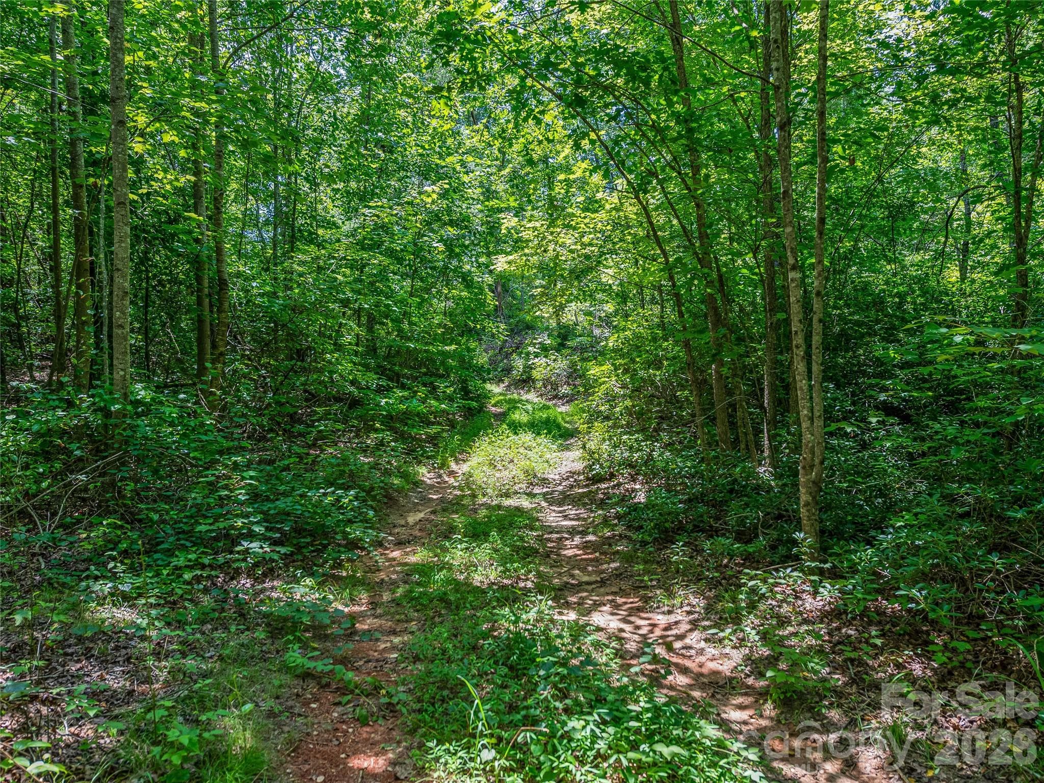 Acreage at TBD Owl Hollow Road, Mill Spring, photo 19 of 25