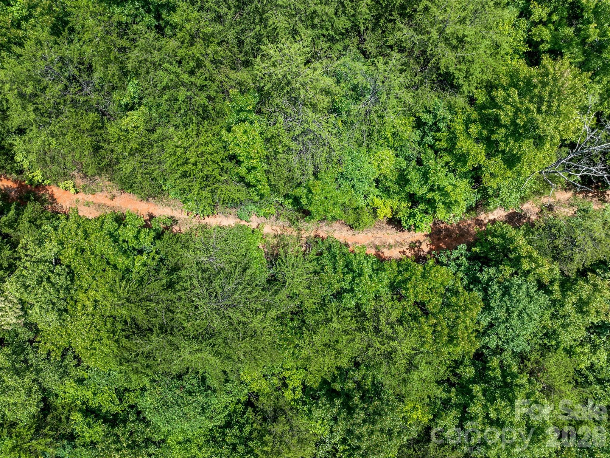 Overhead of the roughed in roadway. - TBD Owl Hollow Road, Mill Spring