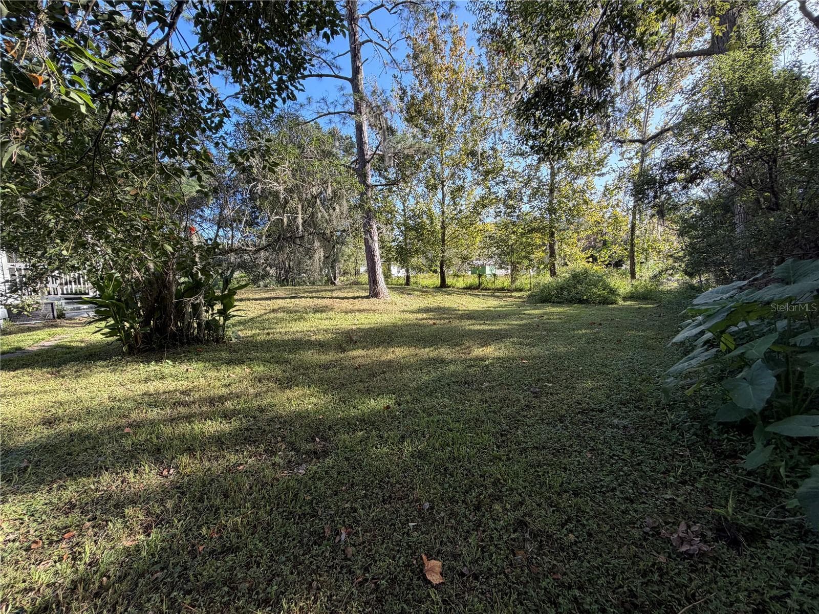 Back Yard - 9038 PARRISH AVE, BROOKSVILLE