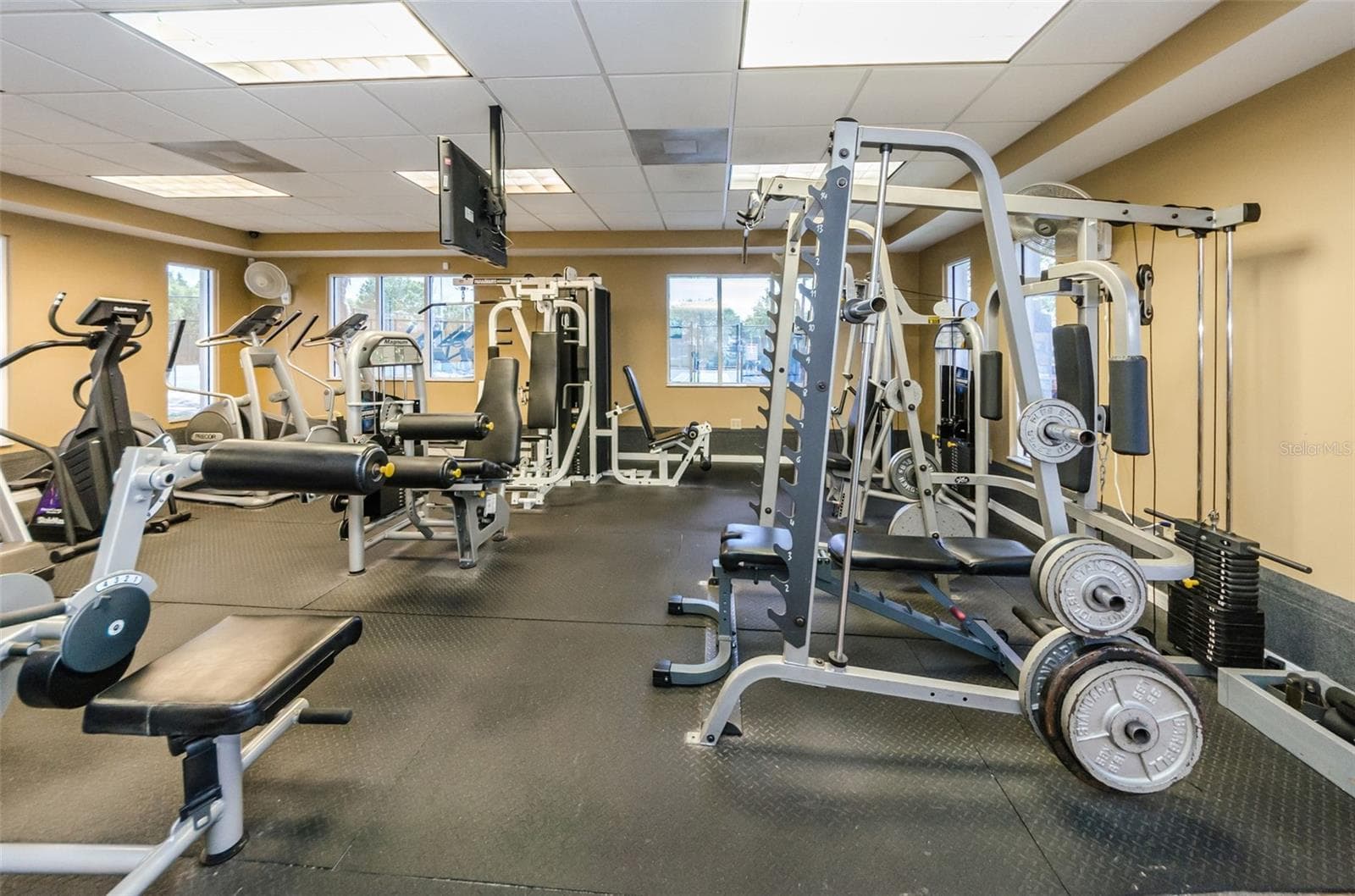 Meadow Point 2 Community Fitness Center - 29947 MORNINGMIST DR, WESLEY CHAPEL