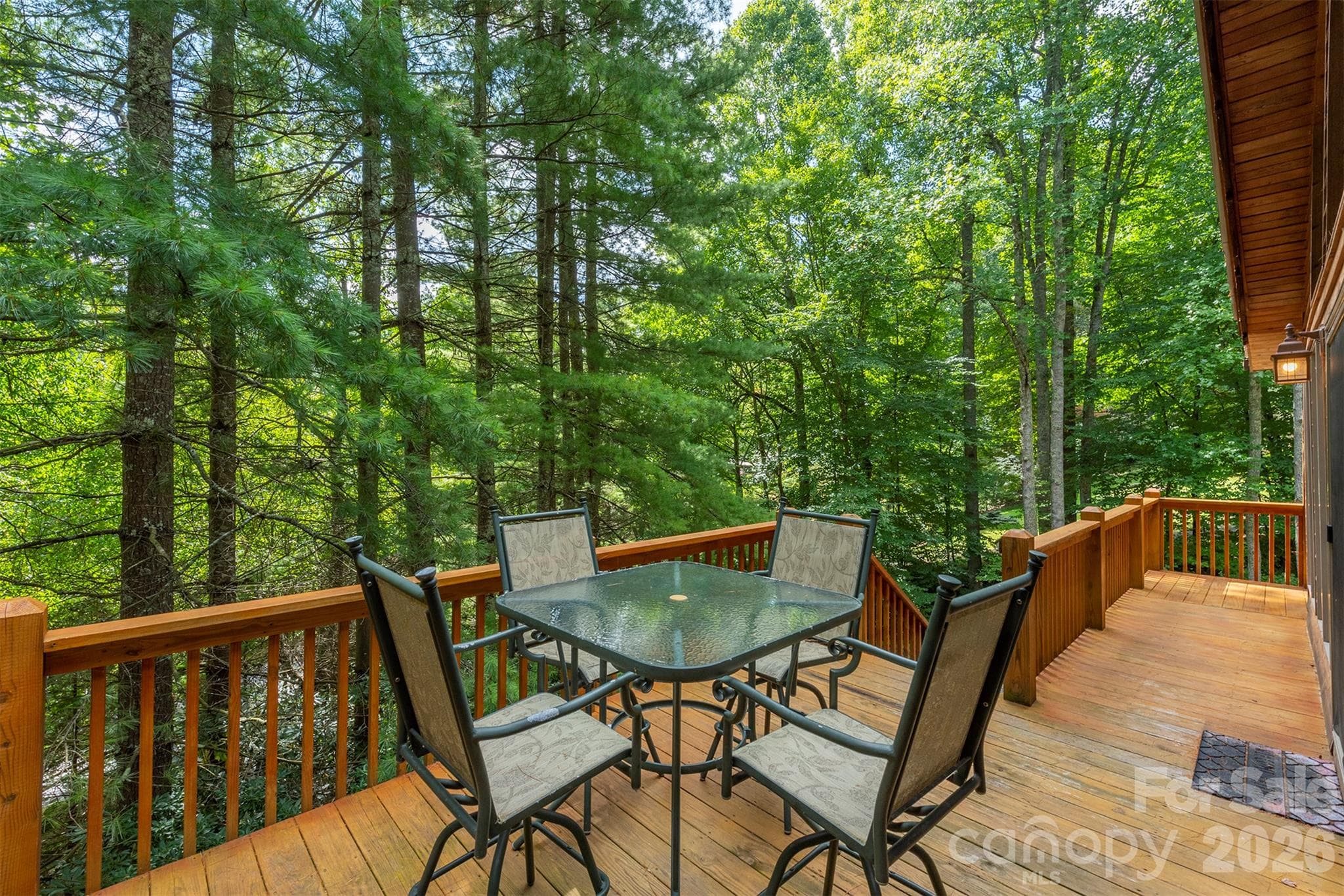 Single Family Residence at 32 Thrash Lane, Mars Hill, photo 33 of 42