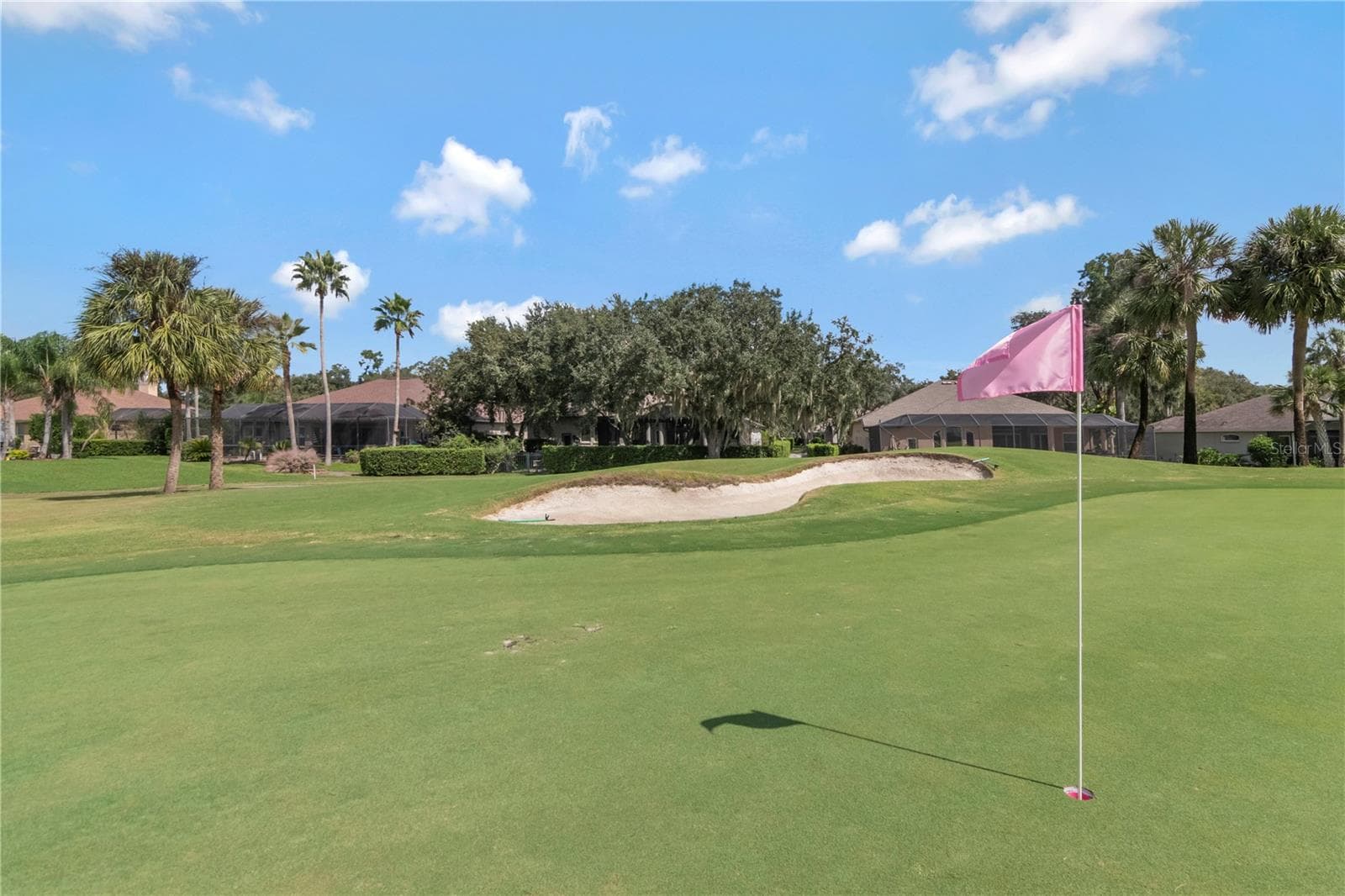 Pristine Gold Course in Your Backyard - 13th Green - 5907 CHERRY OAK DR, VALRICO