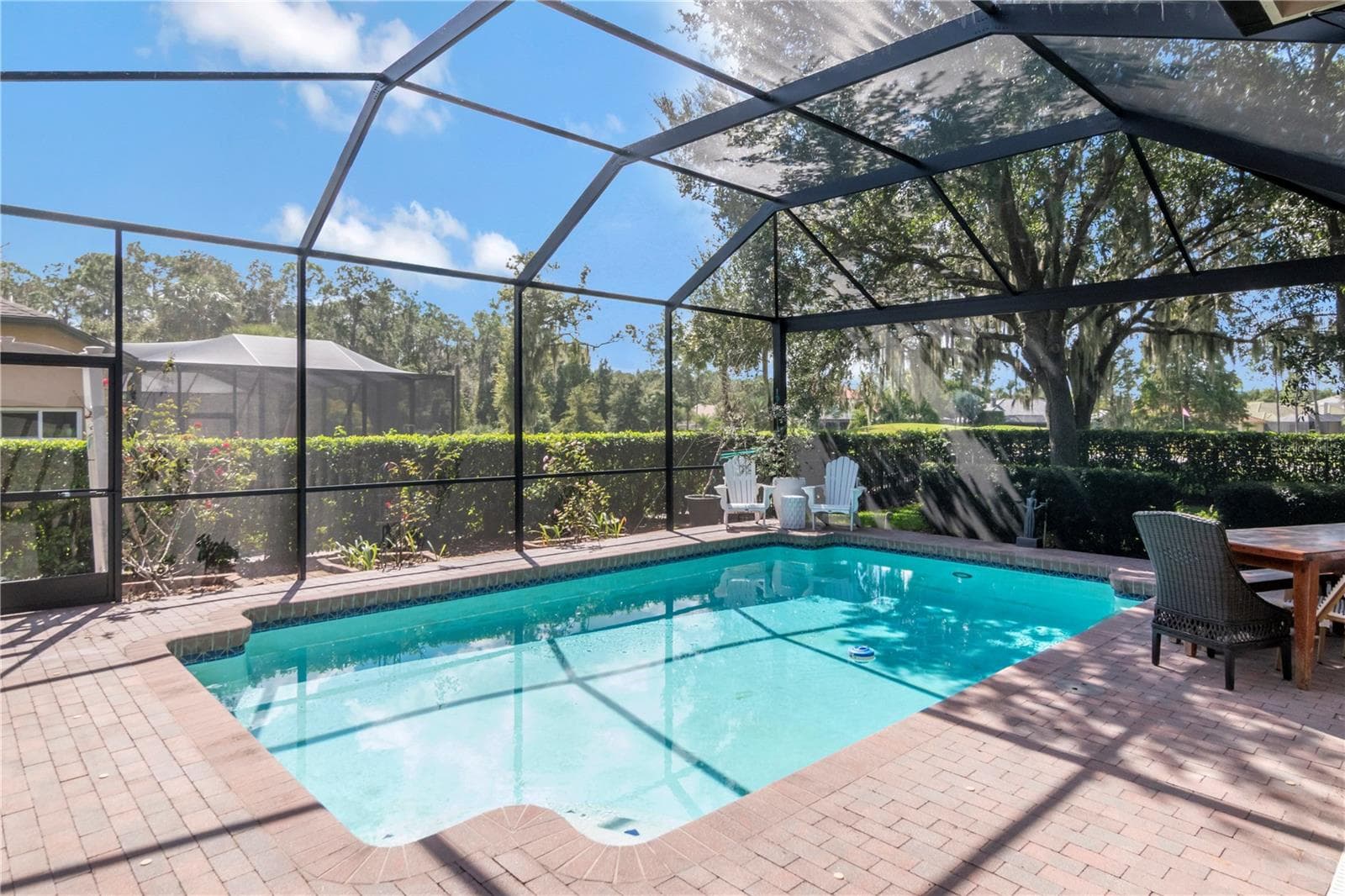 Entire Patio rescreened and repainted - 5907 CHERRY OAK DR, VALRICO