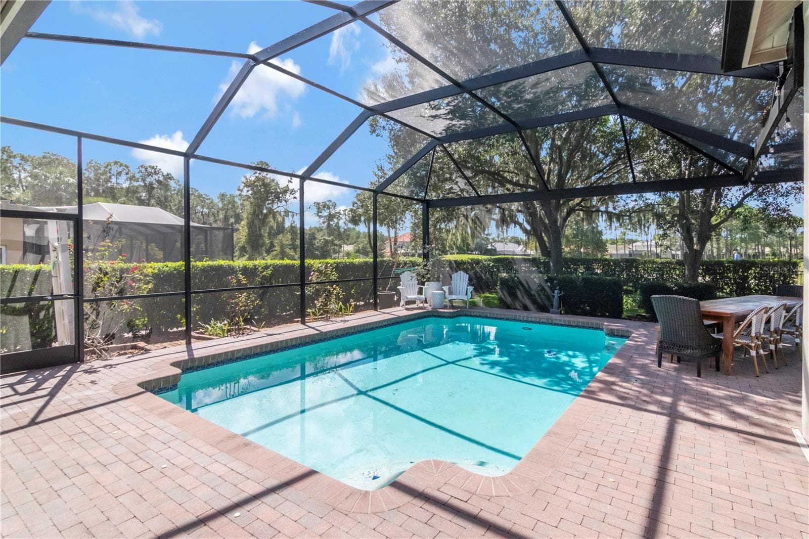 Entire Patio rescreened and repainted - 5907 CHERRY OAK DR, VALRICO
