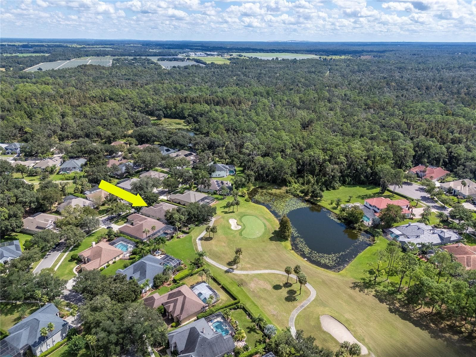 Wonderful Views of the 13th Green in the Backyard - 5907 CHERRY OAK DR, VALRICO