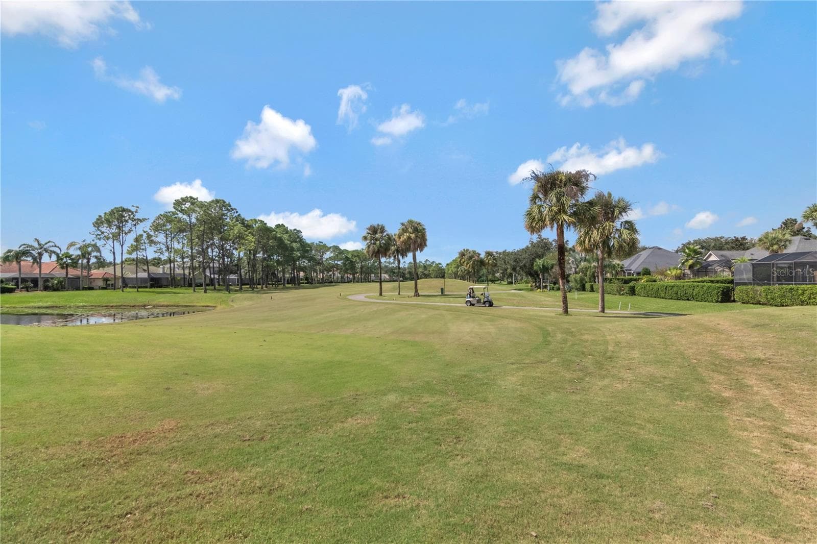 Pristine Gold Course in Your Backyard - 5907 CHERRY OAK DR, VALRICO