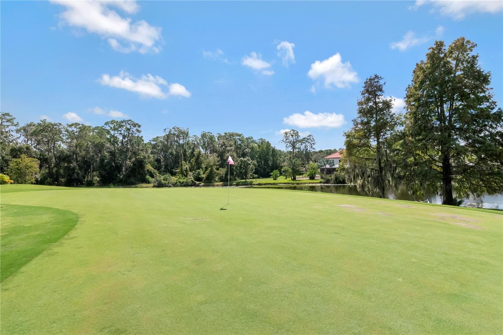 Pristine Gold Course in Your Backyard - 5907 CHERRY OAK DR, VALRICO
