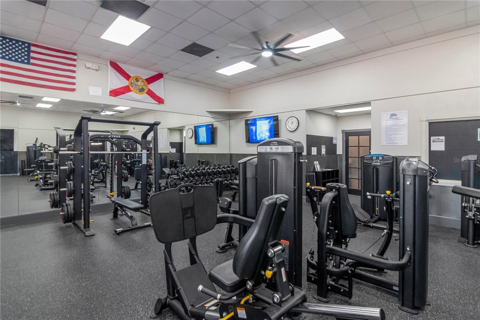 Beautifully Renovated Gym - 5907 CHERRY OAK DR, VALRICO