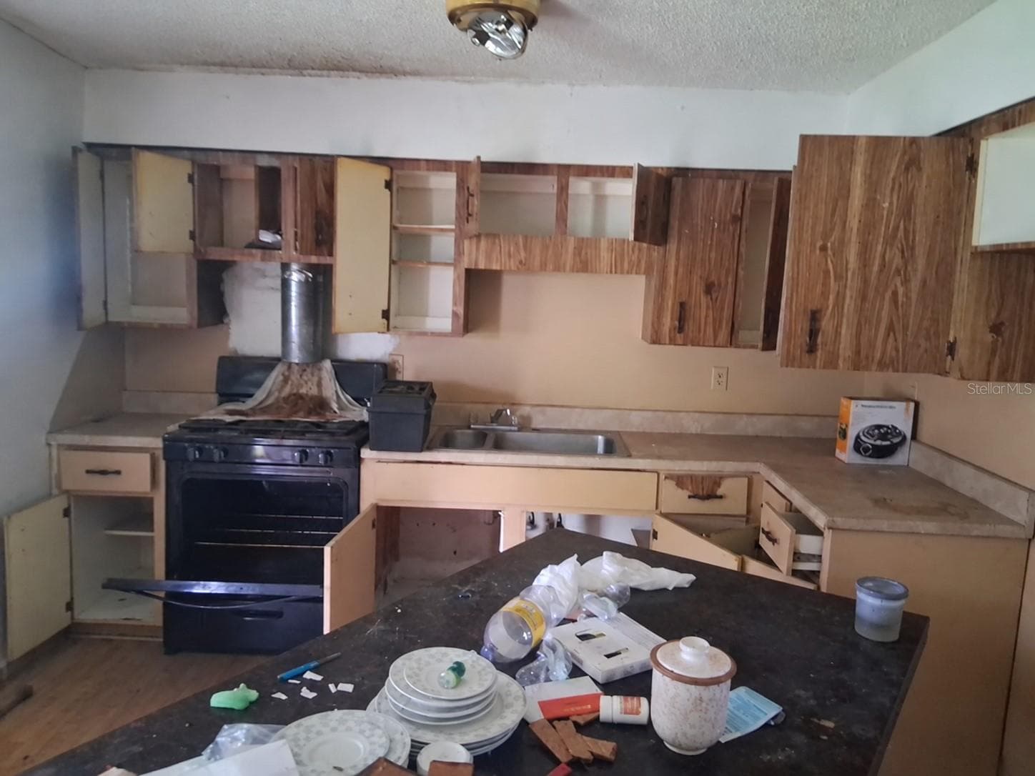 Single Family Residence at 1311 N CLAYTON ST, MOUNT DORA, photo 4 of 14