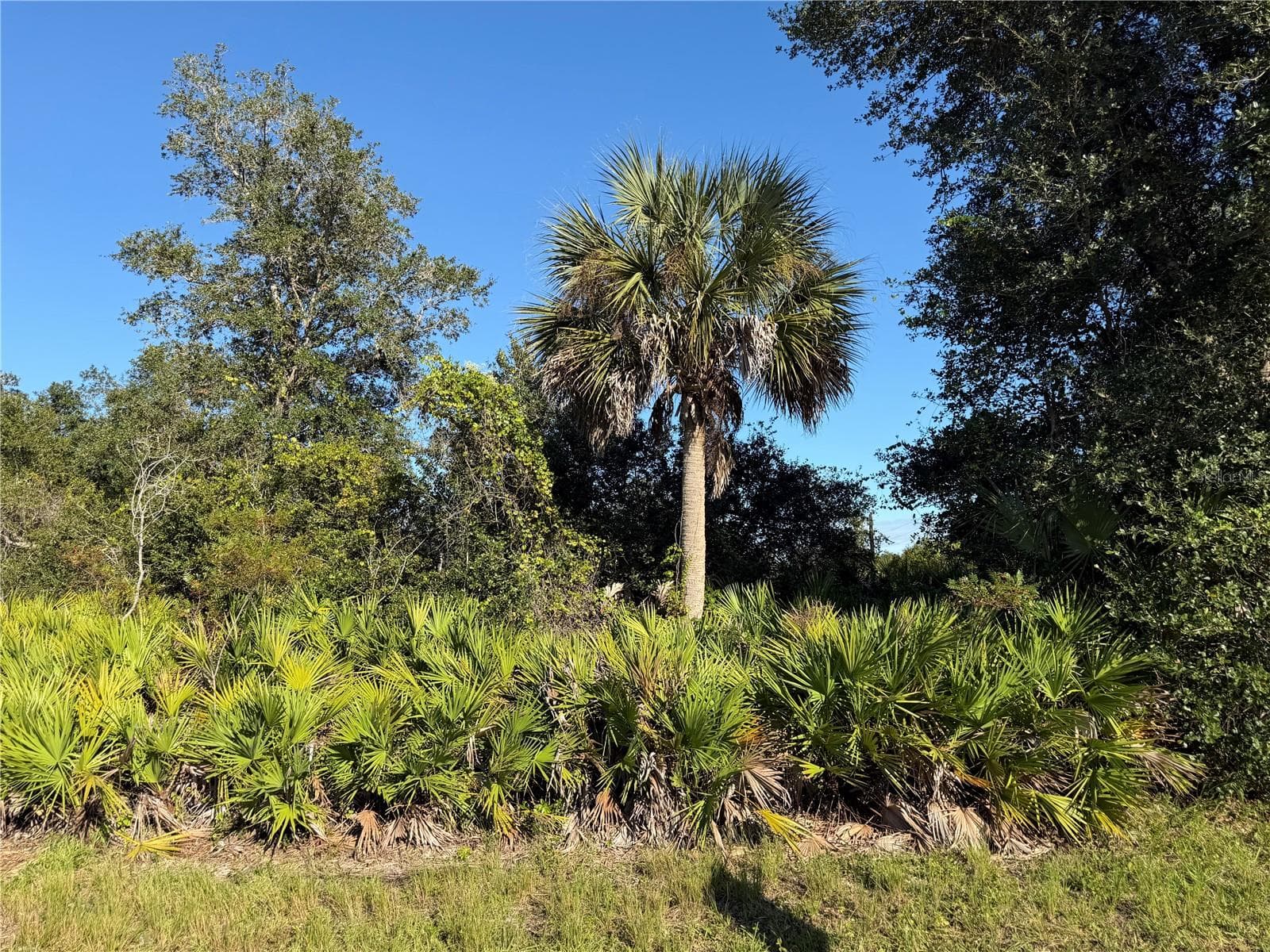 Land at 13499 ELEANOR AVE, PORT CHARLOTTE, photo 2 of 4