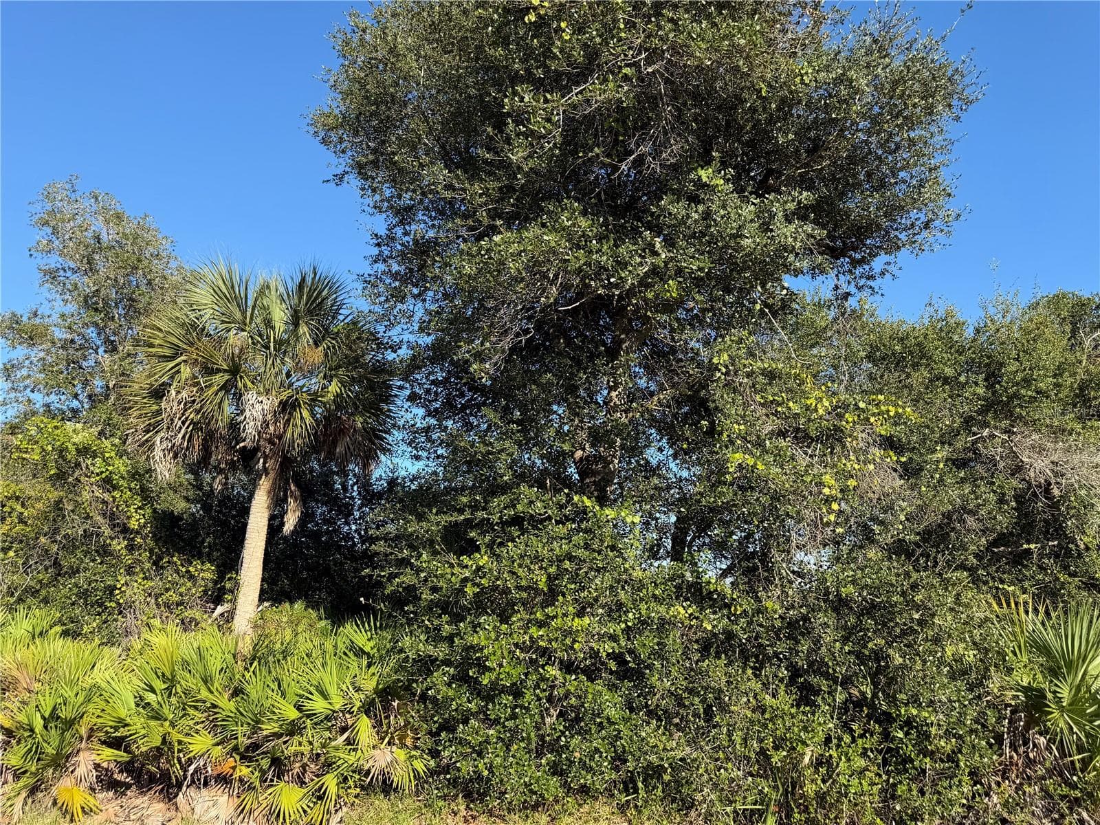 Land at 13499 ELEANOR AVE, PORT CHARLOTTE, photo 3 of 4