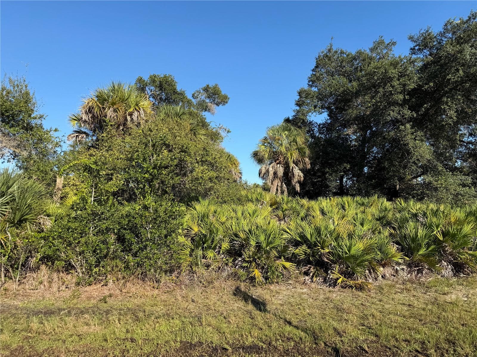 Land at 13499 ELEANOR AVE, PORT CHARLOTTE, photo 4 of 4