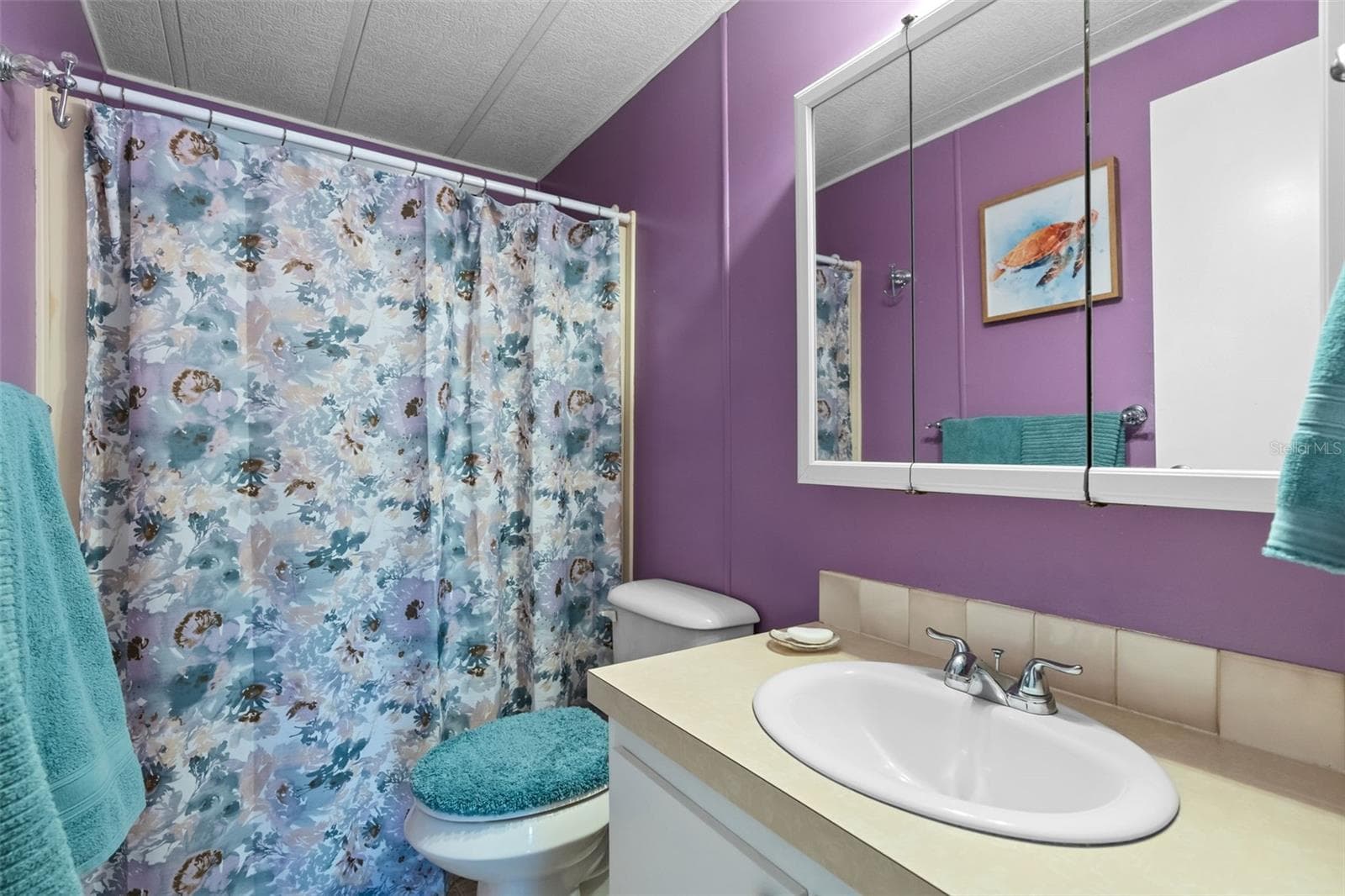 Manufactured Home at 5438 SEVILLE DR, ZEPHYRHILLS, photo 12 of 18