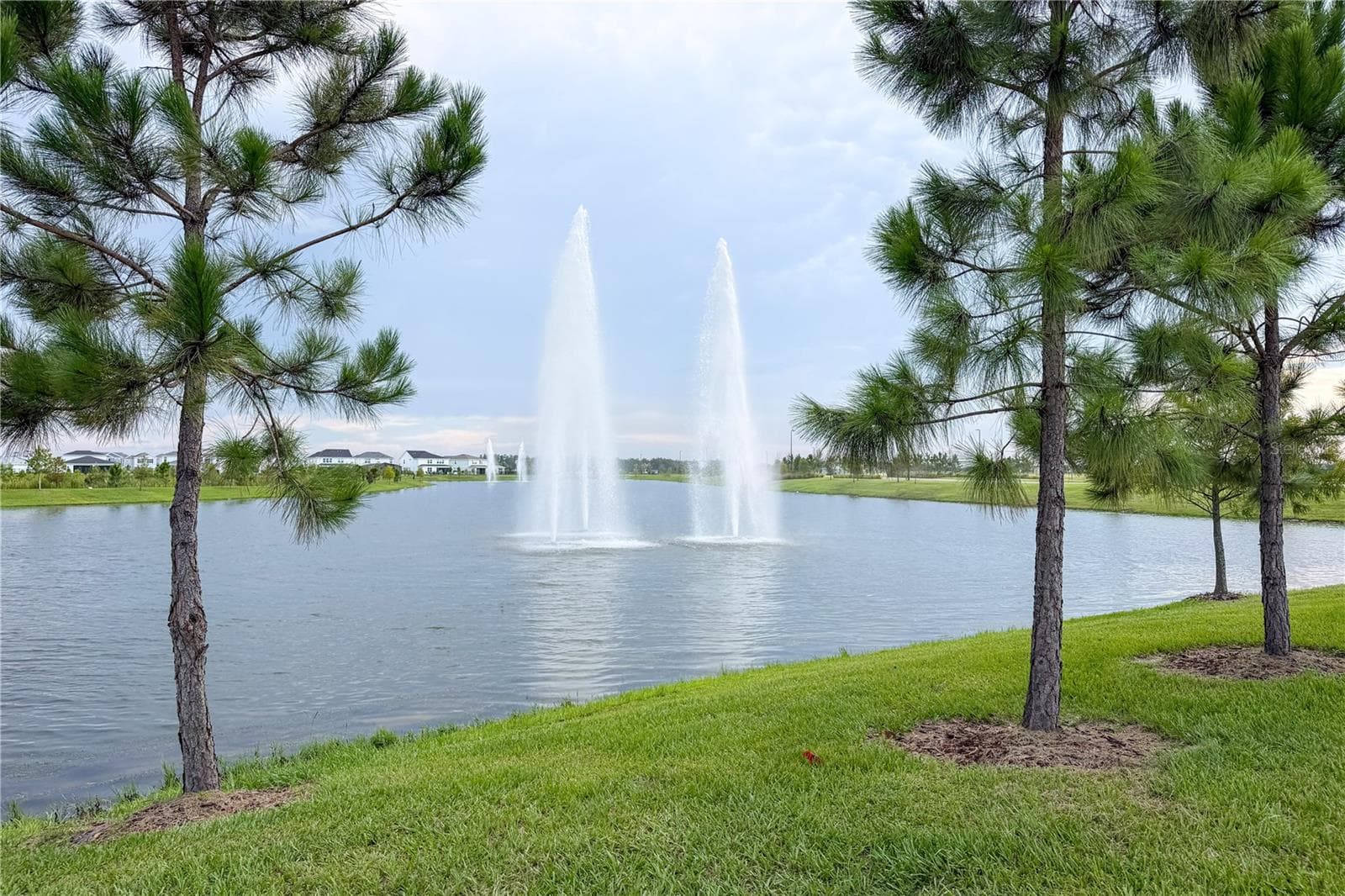Single Family Residence at 10938 FELICITY ALY, ORLANDO, photo 43 of 53