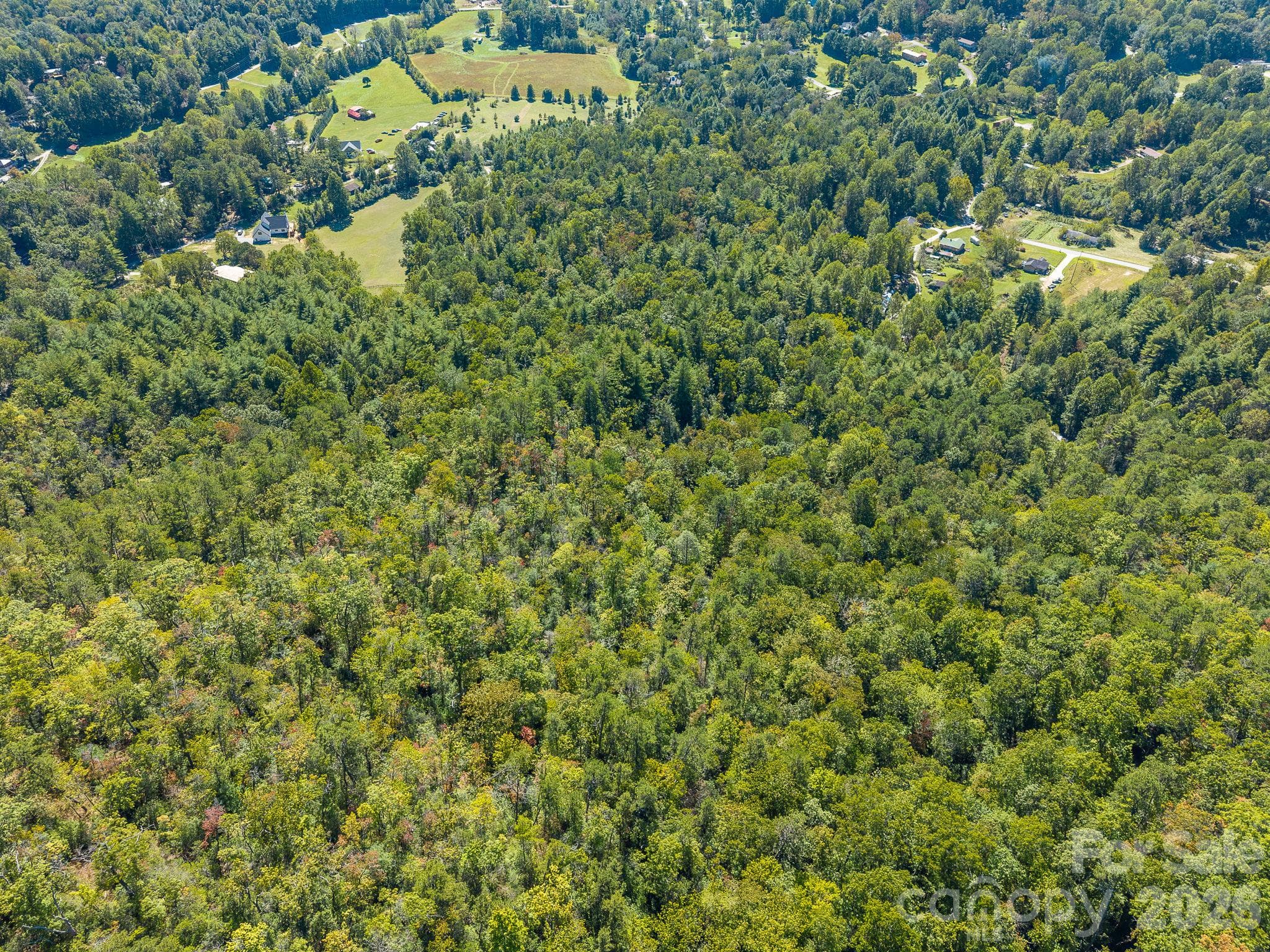 Acreage at TBD Old Little Mountain Road, Pisgah Forest, photo 2 of 33