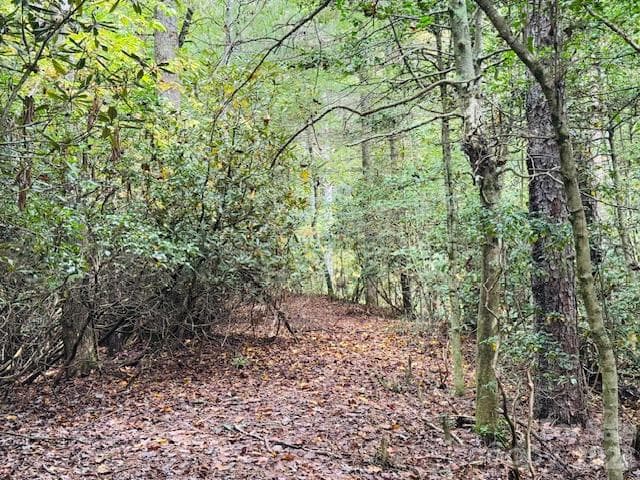 Acreage at TBD Old Little Mountain Road, Pisgah Forest, photo 12 of 33