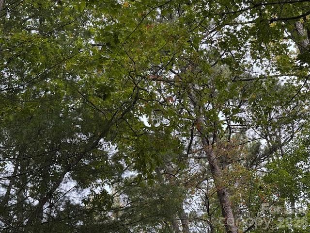 Acreage at TBD Old Little Mountain Road, Pisgah Forest, photo 13 of 33