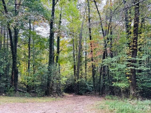Acreage at TBD Old Little Mountain Road, Pisgah Forest, photo 17 of 33