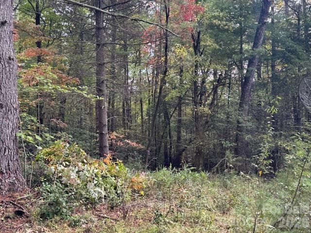 Acreage at TBD Old Little Mountain Road, Pisgah Forest, photo 18 of 33