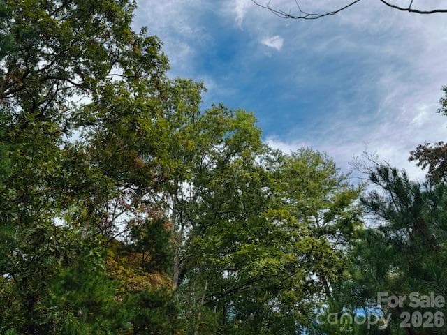 Acreage at TBD Old Little Mountain Road, Pisgah Forest, photo 21 of 33