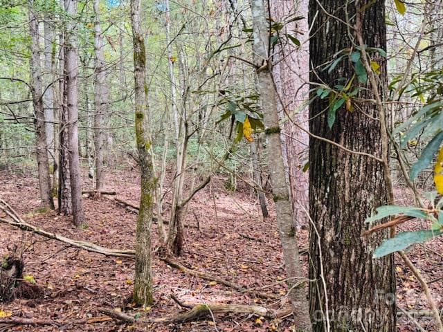 Acreage at TBD Old Little Mountain Road, Pisgah Forest, photo 25 of 33