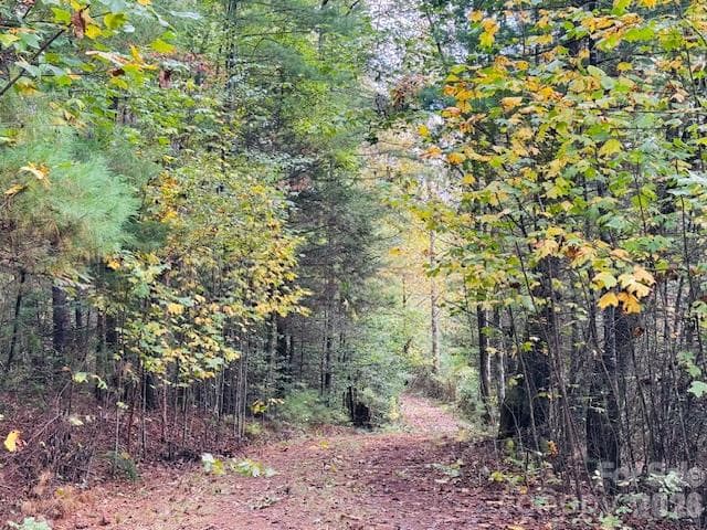 Acreage at TBD Old Little Mountain Road, Pisgah Forest, photo 26 of 33