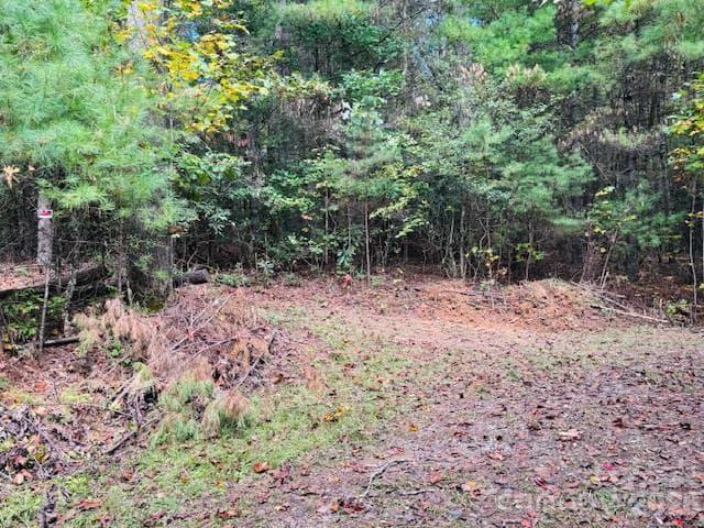 Acreage at TBD Old Little Mountain Road, Pisgah Forest, photo 28 of 33