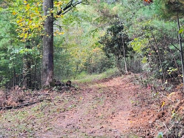 Acreage at TBD Old Little Mountain Road, Pisgah Forest, photo 30 of 33