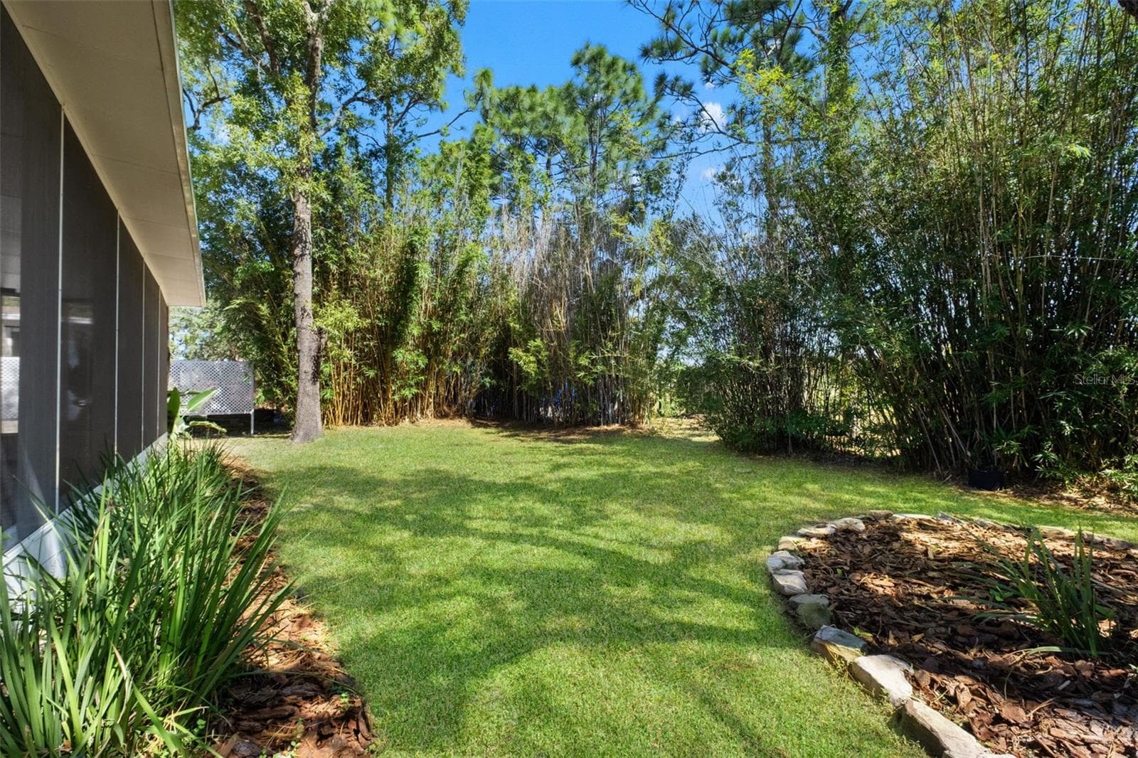 Beautiful Back Yard - 2138 FAIRVIEW RD, SPRING HILL