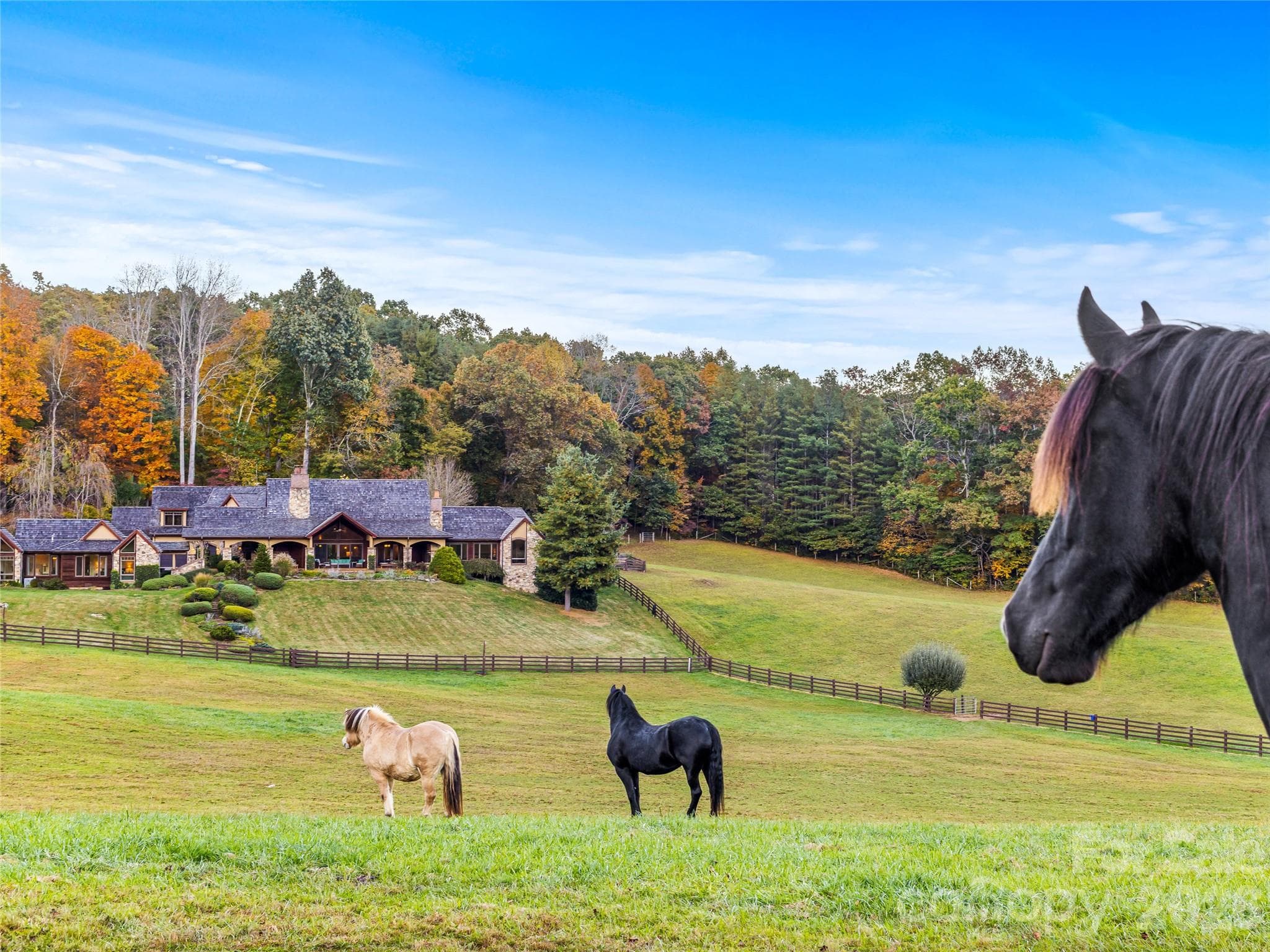 Rolling pastures, fencing, stables, privacy, and more. - 422 Heart Stone Way, Burnsville