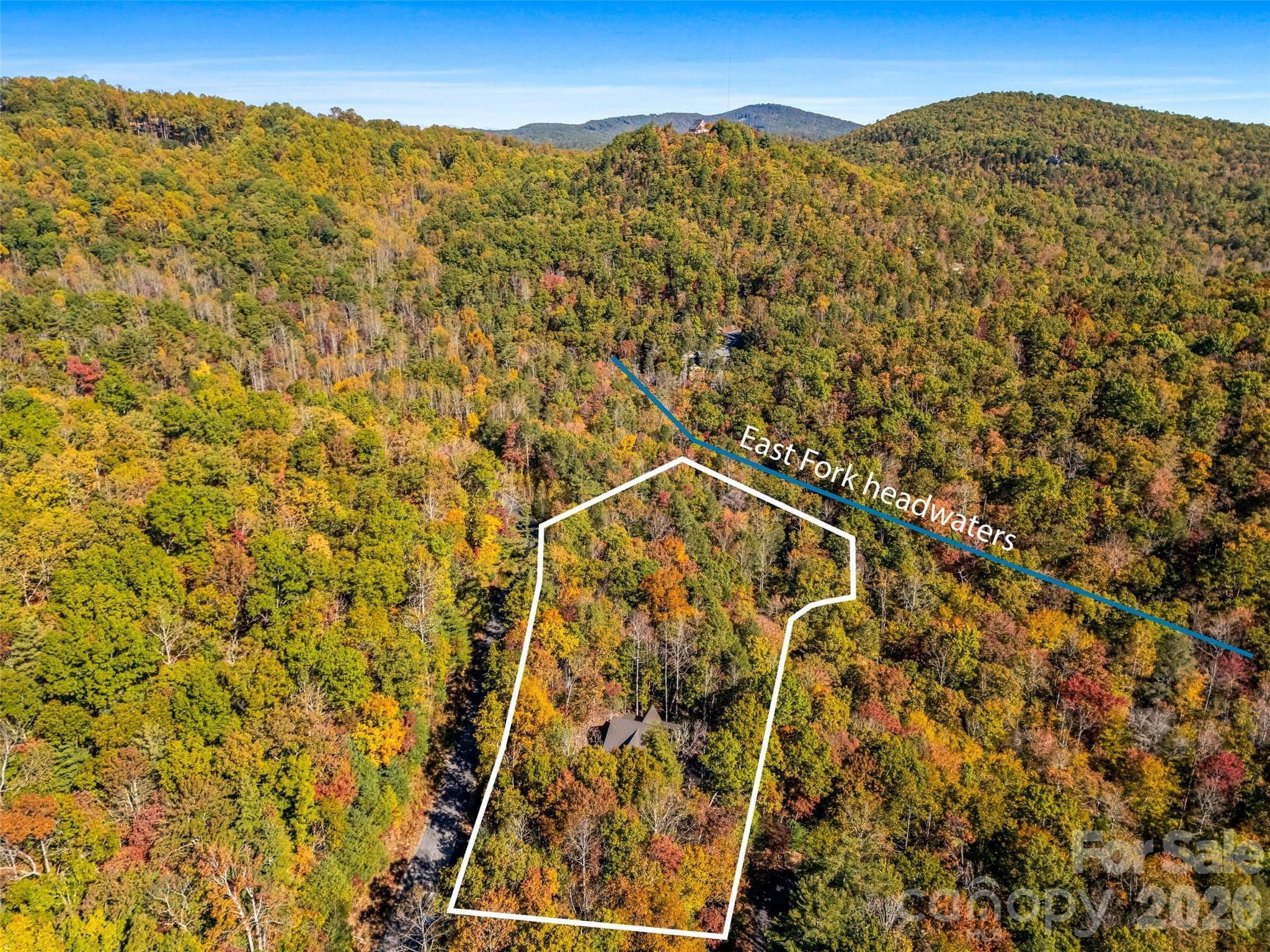 Borders East Fork Headwaters! - 384 Green Hollow Lane, Brevard