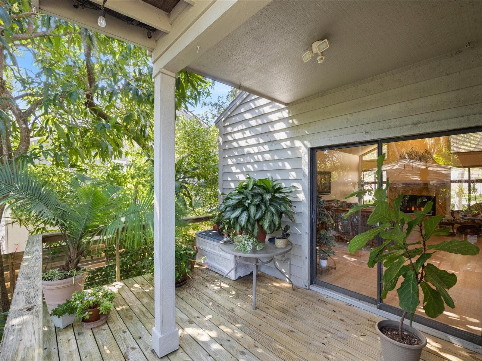 Full Length of the Back area has great balconies for views of nature with no neighbors - 3328 BRIARWOOD CIR, SAFETY HARBOR