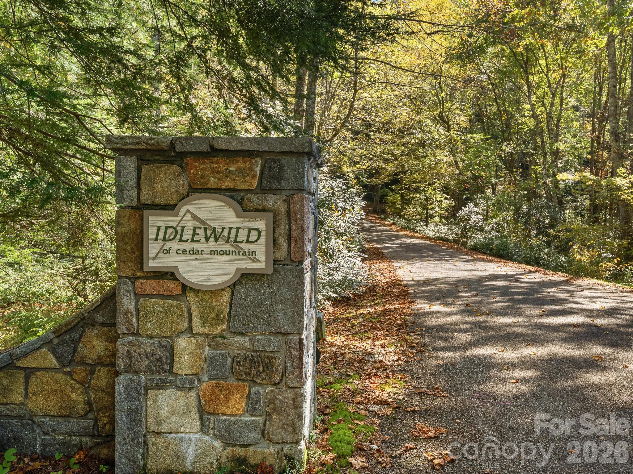 Lot at Lot 15 Spanish Oak Drive, Cedar Mountain, photo 3 of 19